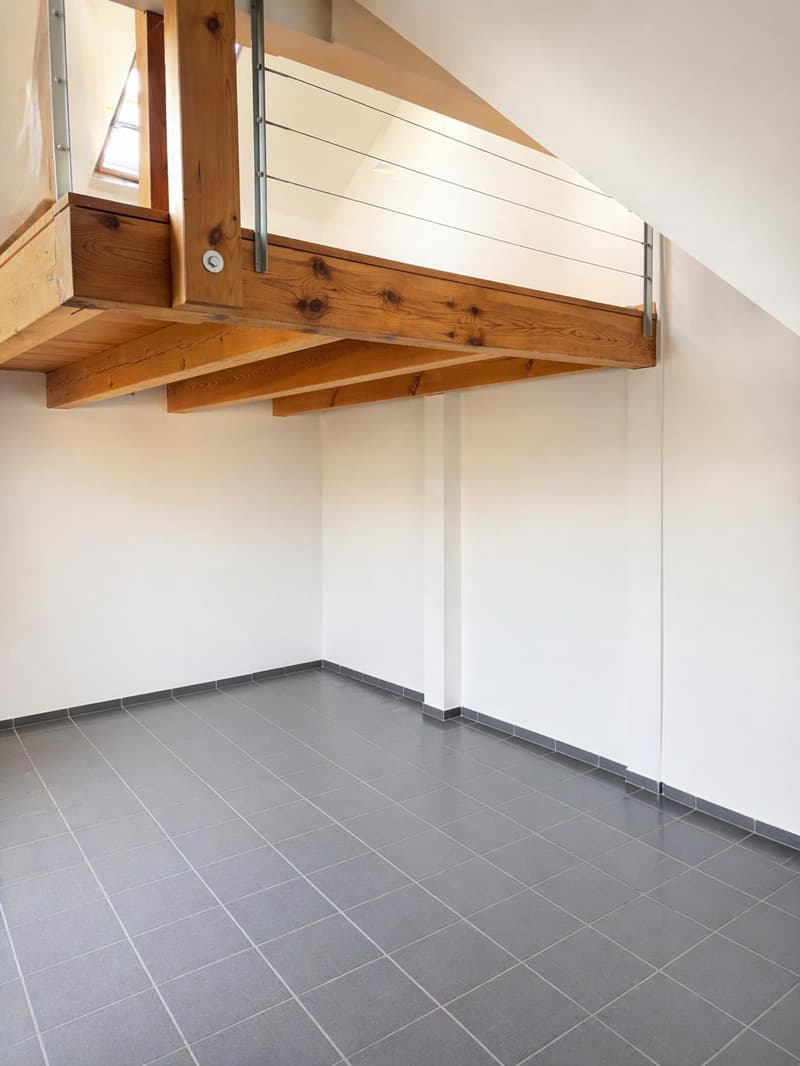 Charmant appartement 3.5 pièces à Feuerthalen (3)