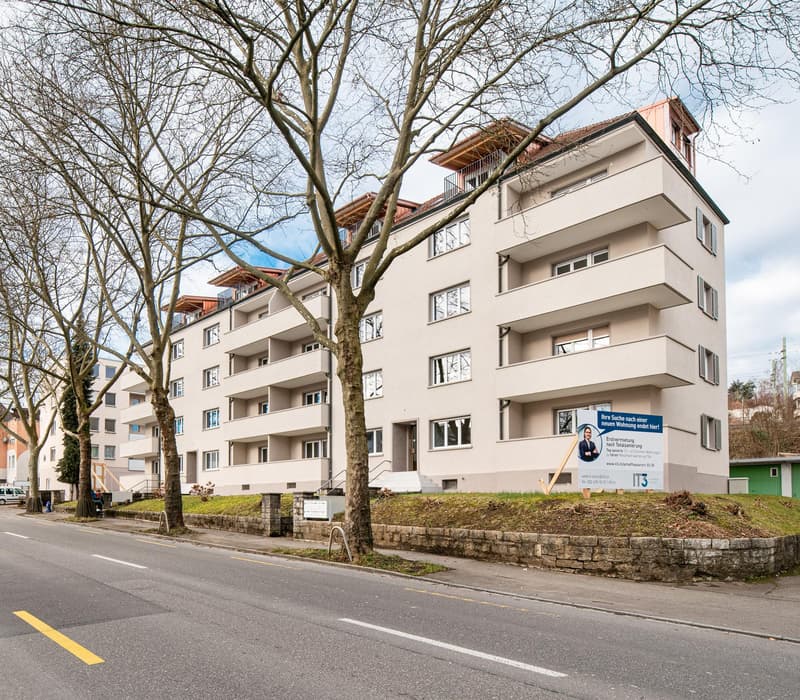 Appartement 2.5 pièces à Neuhausen (1)