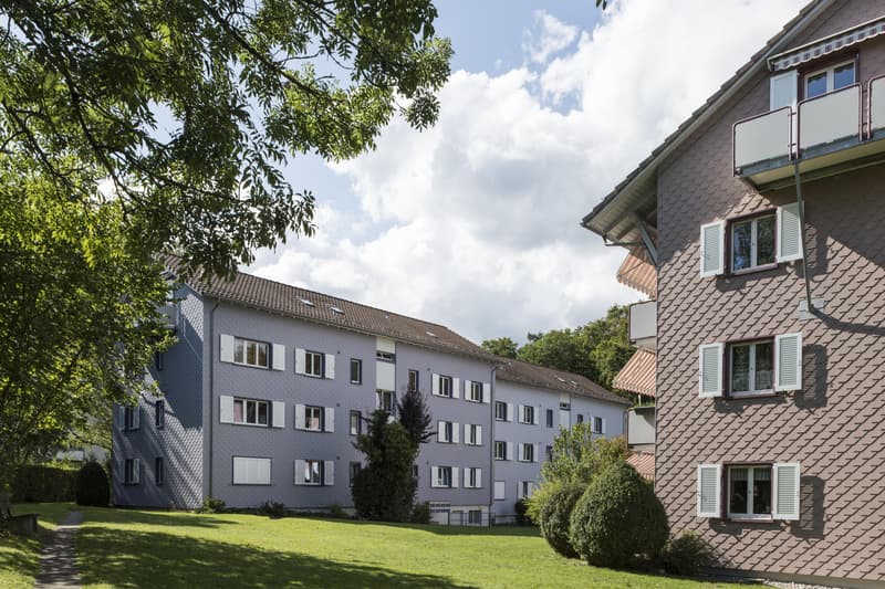 2.5-Zimmer-Wohnung in Schaffhausen (1)