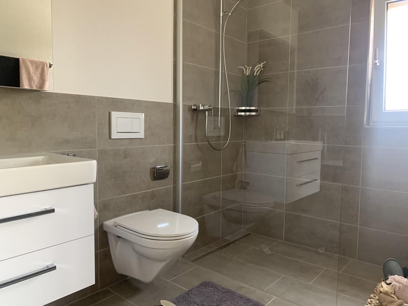 2.5 room apartment in Arnegg (7)