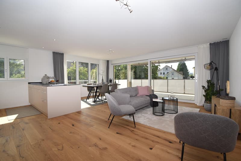 2.5 room apartment in Arnegg (2)
