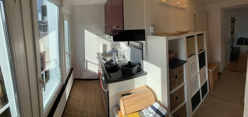 1.5 room apartment in St. Gallen (4)