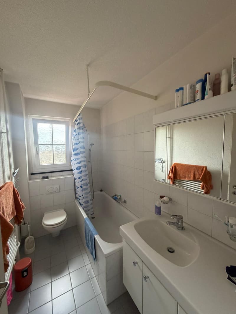 Befristete 2.5-Zimmer-Wohnung mit Balkon an attraktiver Lage in Zürich (6)