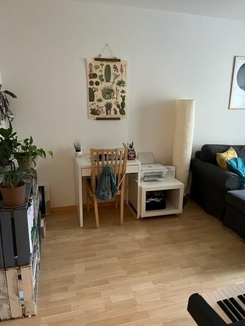 Compact, clever, city-near - perfect 2.5-room apartment (10)
