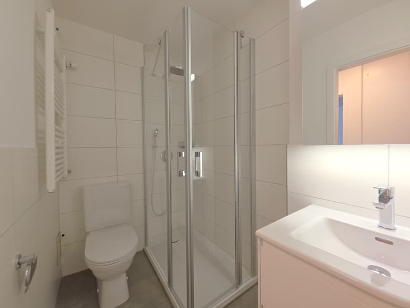 Beautiful 2.5 room apartment in Schaffhausen (7)