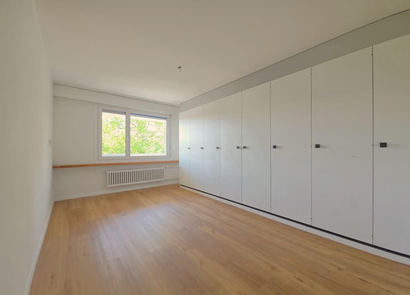 Beautiful 2.5 room apartment in Schaffhausen (8)