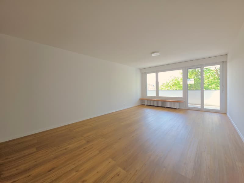 Beautiful 2.5 room apartment in Schaffhausen (6)