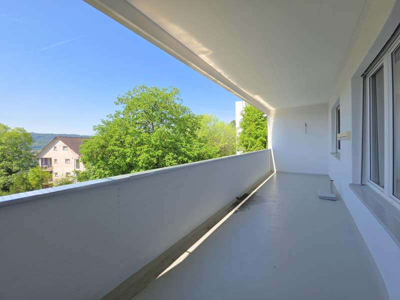 Beautiful 2.5 room apartment in Schaffhausen (9)