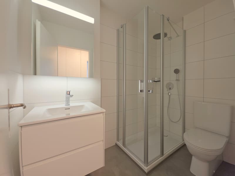 Beautiful 2.5 room apartment in Schaffhausen (7)