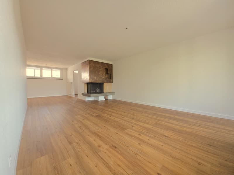Beautiful 2.5 room apartment in Schaffhausen (6)