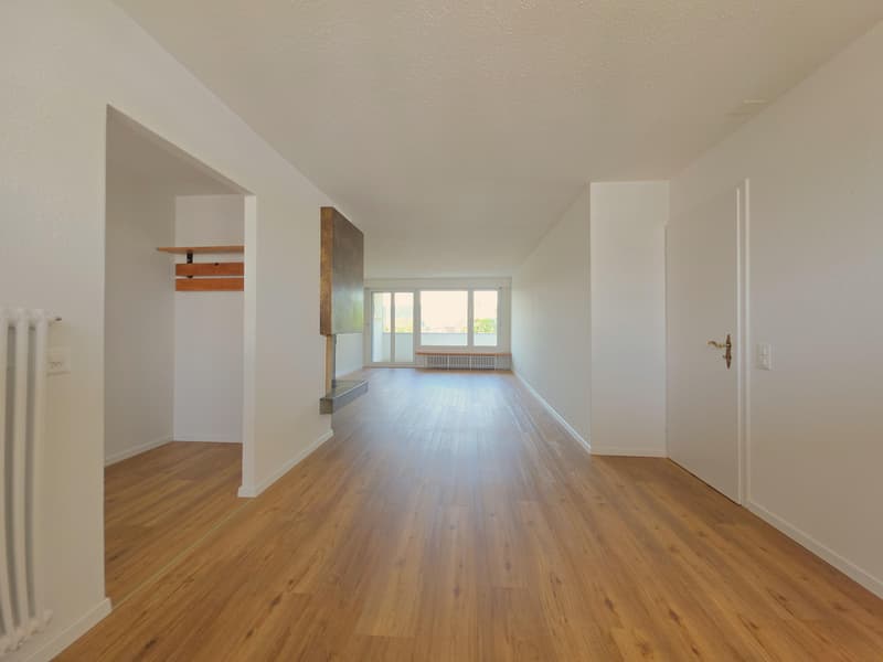 Beautiful 2.5 room apartment in Schaffhausen (5)