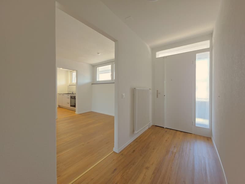 Beautiful 2.5 room apartment in Schaffhausen (2)