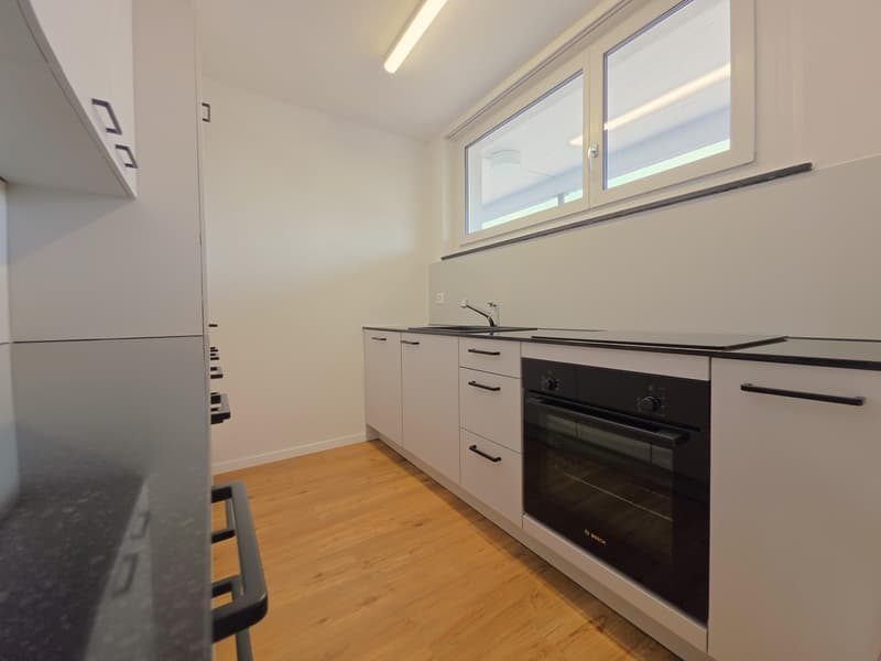Beautiful 2.5 room apartment in Schaffhausen (3)