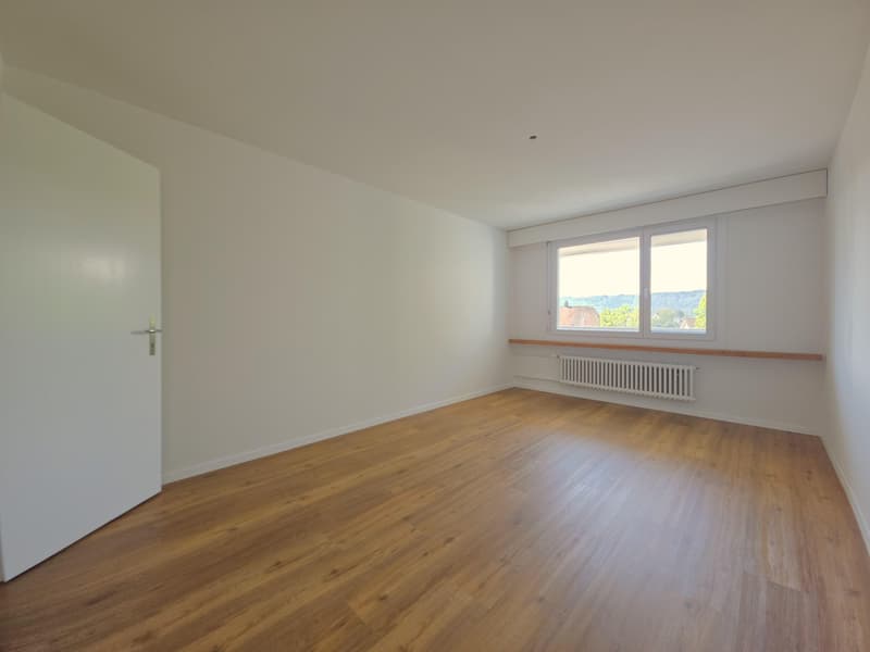 Beautiful 2.5 room apartment in Schaffhausen (8)