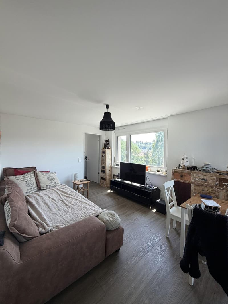2.5 room apartment in Effretikon (4)
