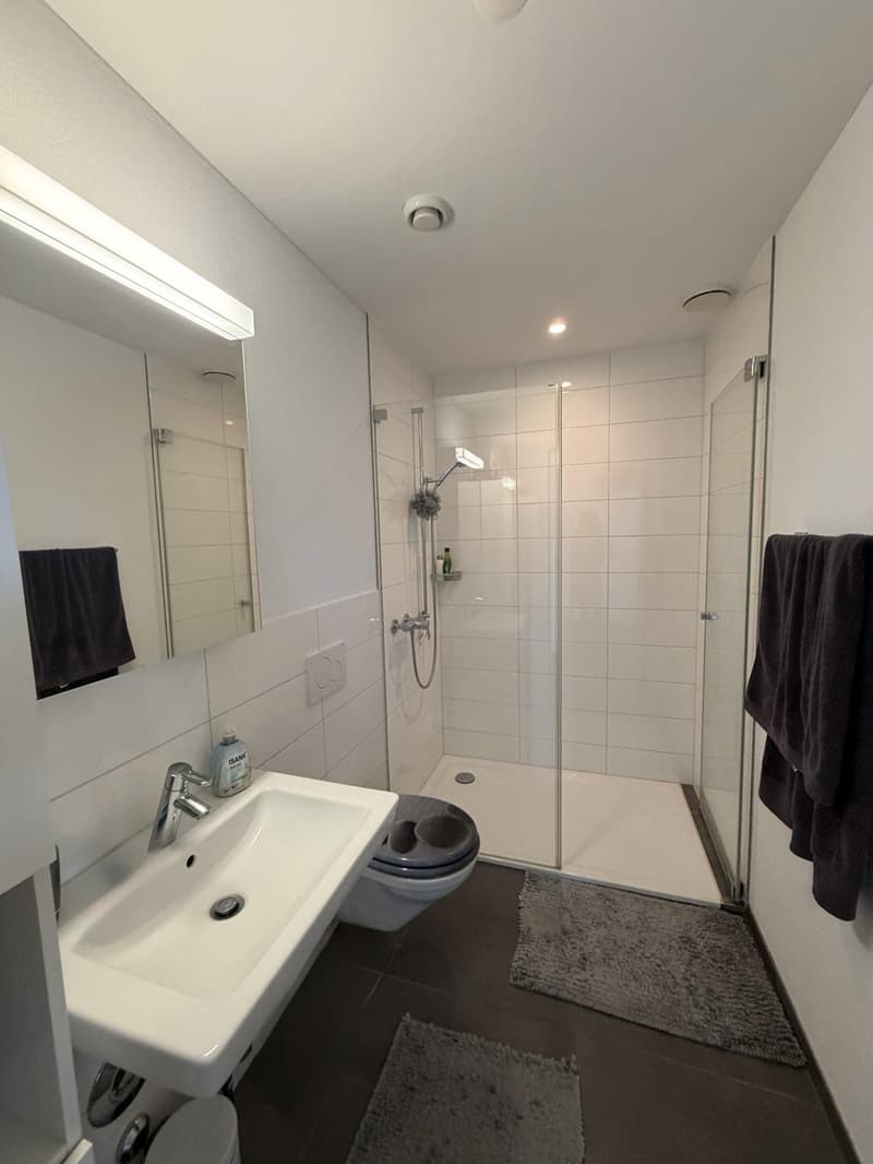2.5 room apartment in Effretikon (3)