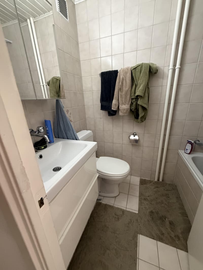 Temporary 3-room apartment in Bachenbülach, ideal as a transitional solution (5)