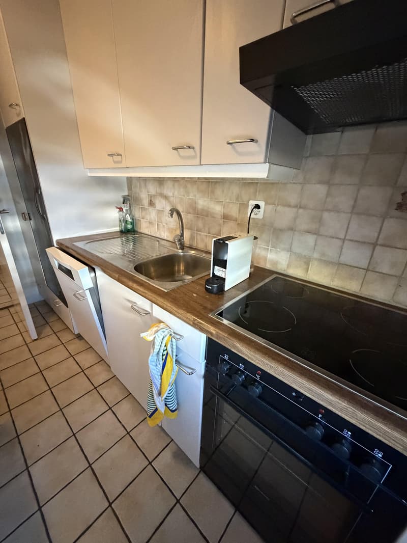 Temporary 3-room apartment in Bachenbülach, ideal as a transitional solution (4)