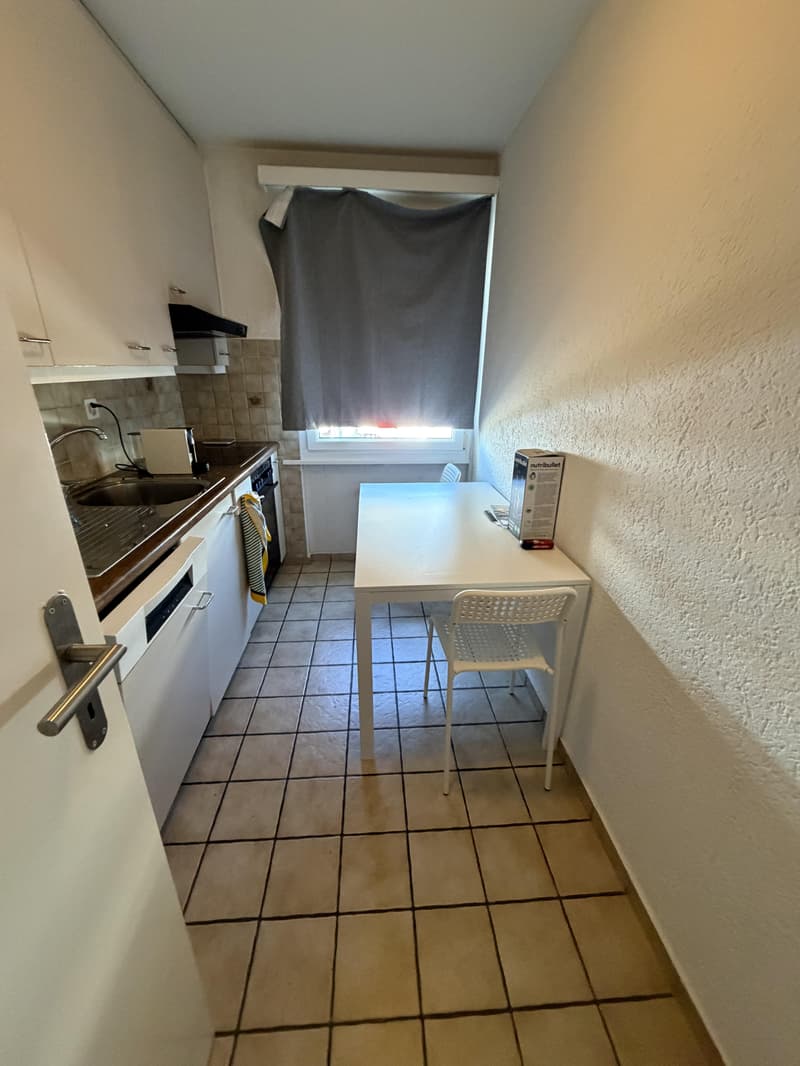 Temporary 3-room apartment in Bachenbülach, ideal as a transitional solution (3)