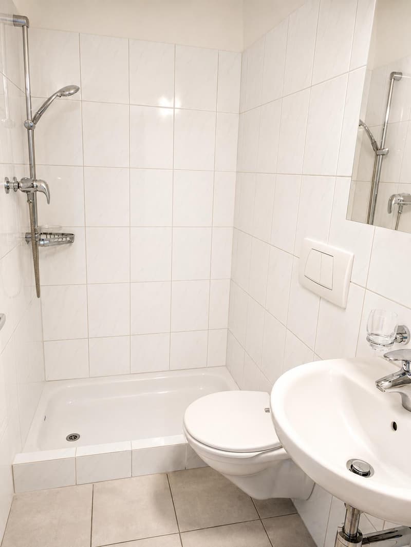 Family-friendly 3.5-room attic apartment in Pfungen! (7)