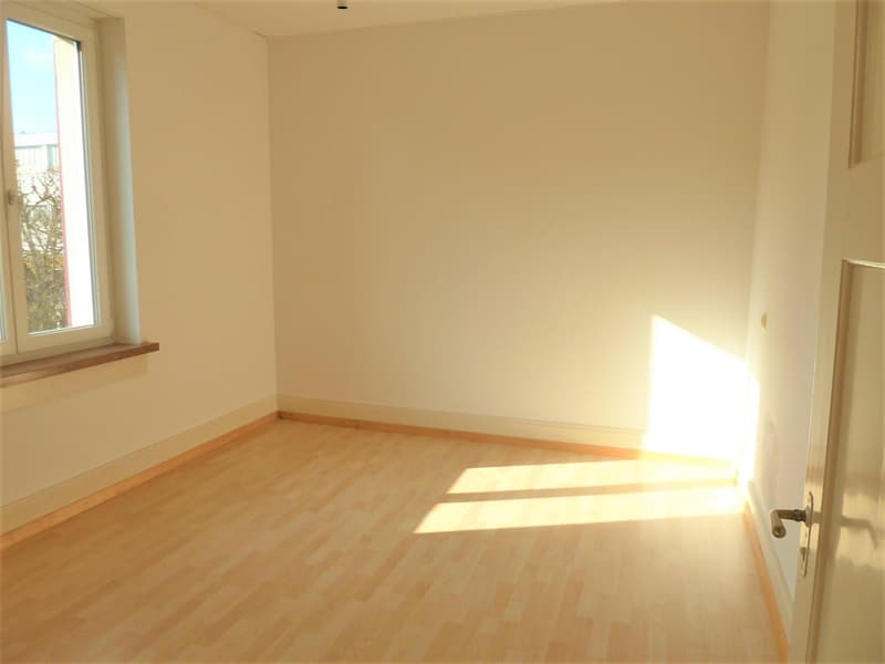 3 Bedroom Apartment in Neuhausen am Rheinfall (4)