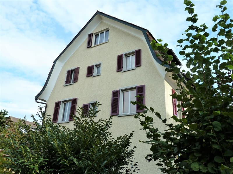 3 Bedroom Apartment in Neuhausen am Rheinfall (6)