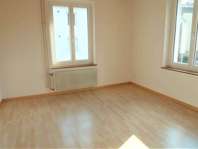 3 Bedroom Apartment in Neuhausen am Rheinfall (3)
