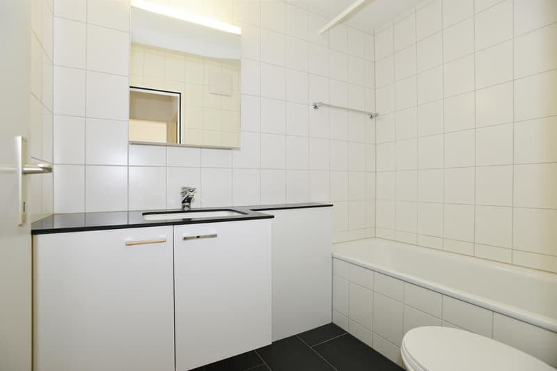 3.5 Room Apartment in Neuhausen am Rheinfall (7)