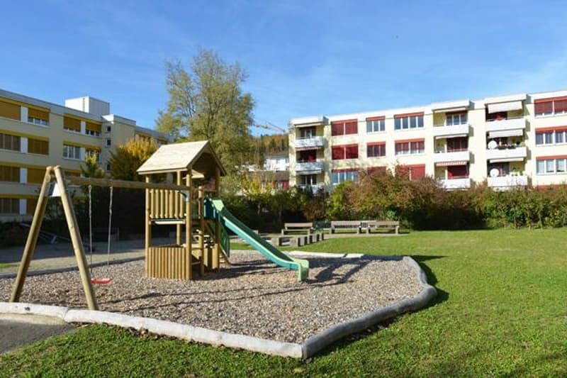 3.5 Room Apartment in Neuhausen am Rheinfall (9)