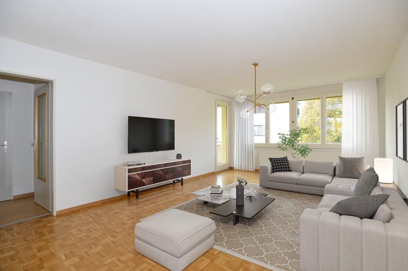 3.5 Room Apartment in Neuhausen am Rheinfall (5)