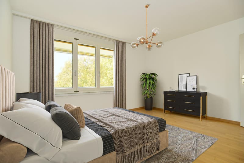 3.5 Room Apartment in Neuhausen am Rheinfall (6)