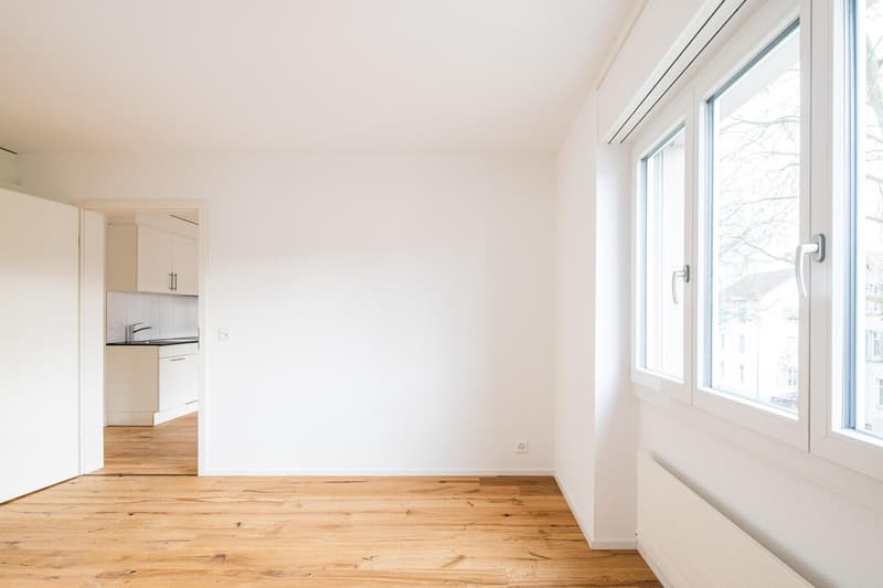 Renovated 2-room apartment in Neuhausen (6)