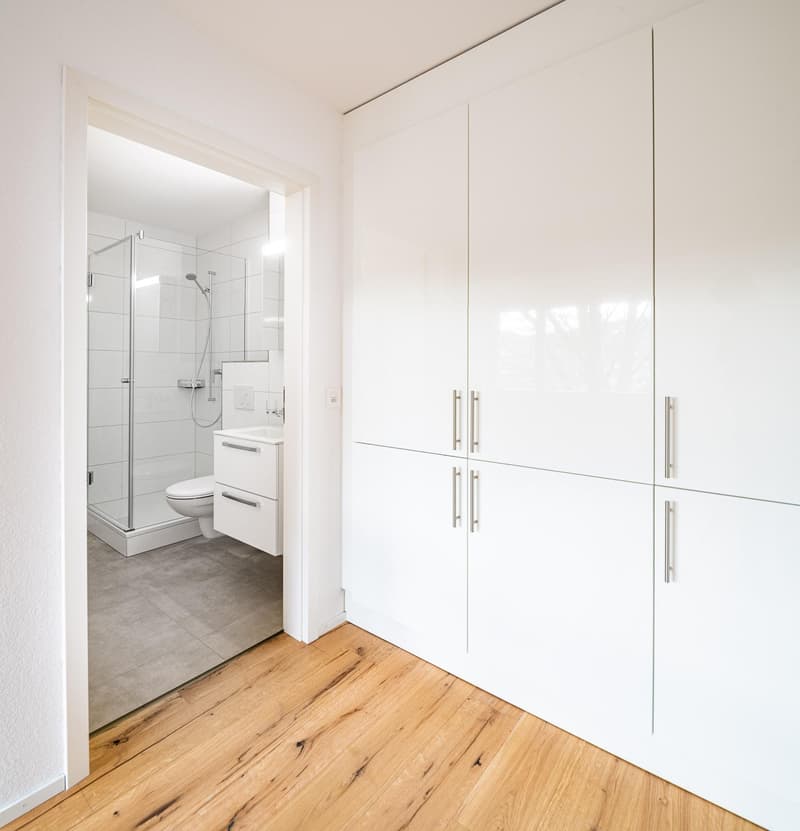 Renovated 2-room apartment in Neuhausen (9)