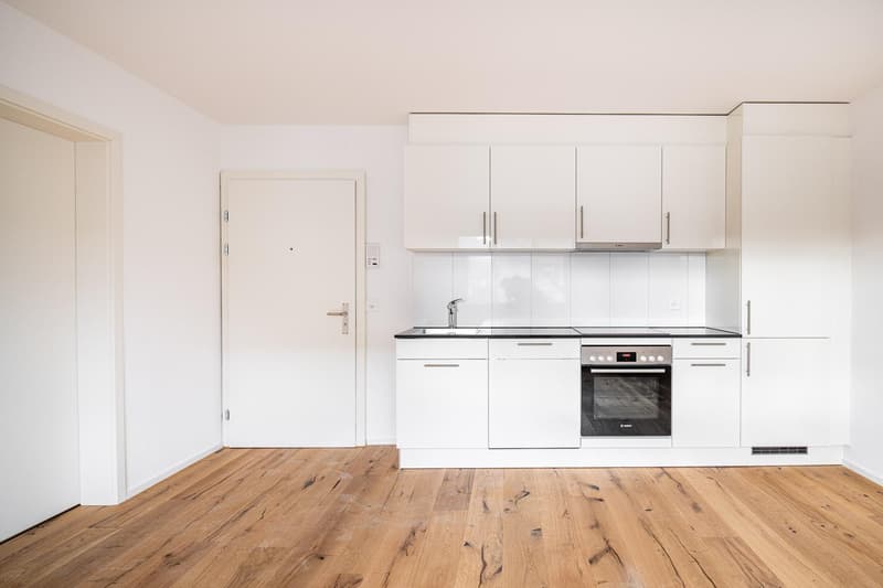 Renovated 2-room apartment in Neuhausen (2)