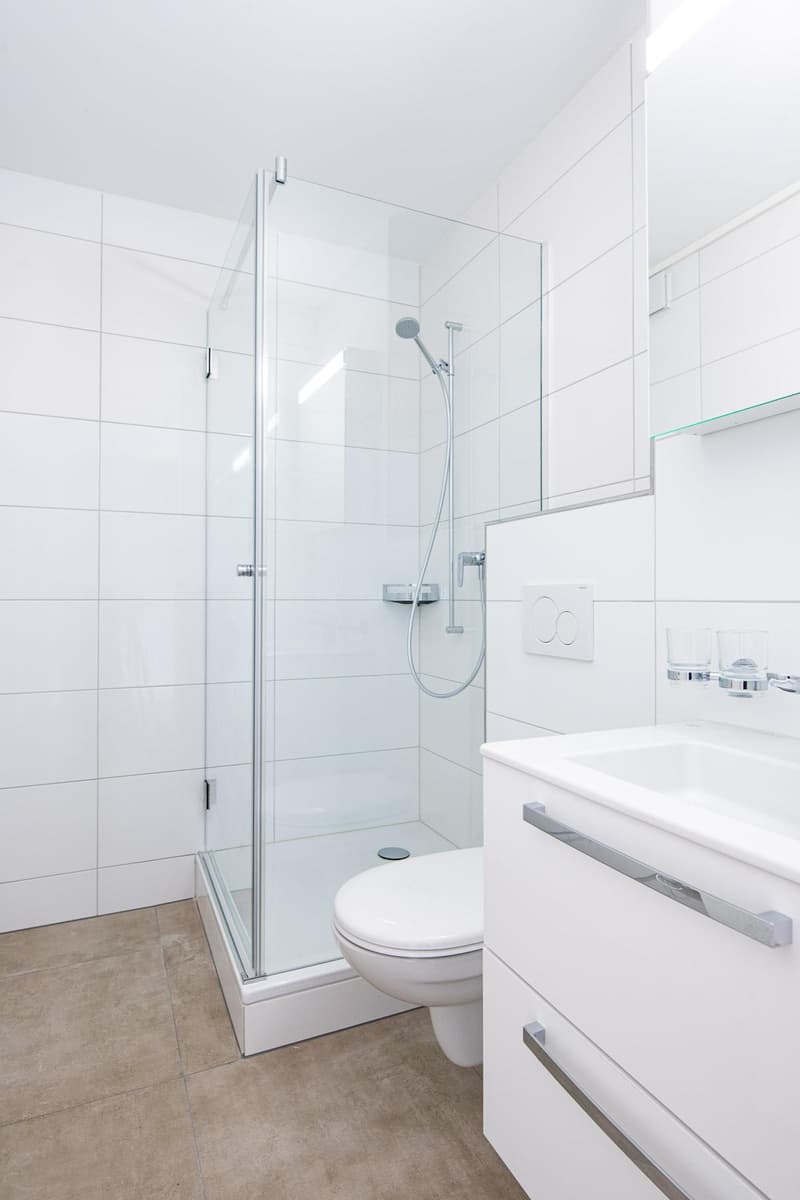 Renovated 2-room apartment in Neuhausen (10)