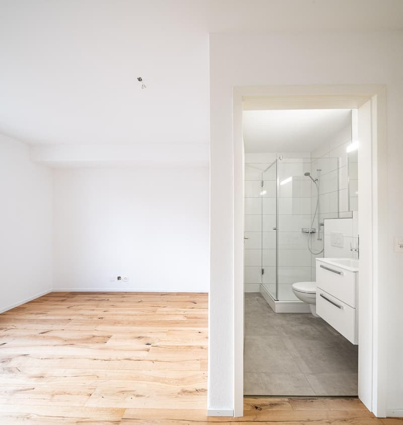 Renovated 2-room apartment in Neuhausen (7)
