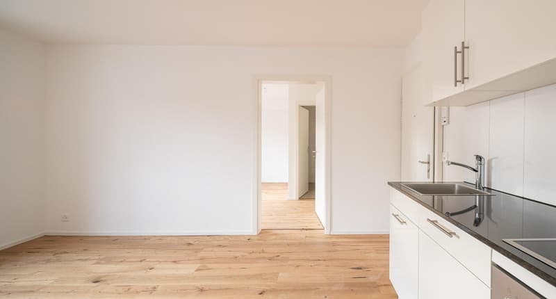 Renovated 2-room apartment in Neuhausen (4)