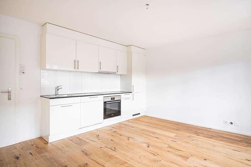 Renovated 2-room apartment in Neuhausen (3)