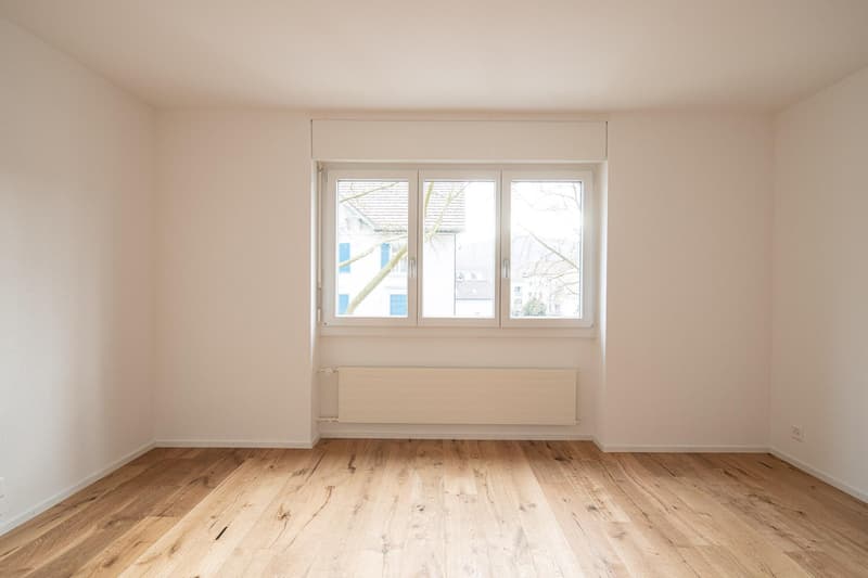 Renovated 2-room apartment in Neuhausen (5)