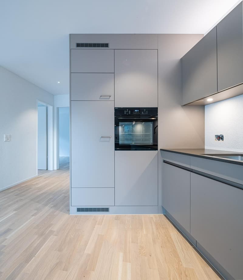 Between City and Nature - 2.5-Room New Apartment in Breitipark! (3)