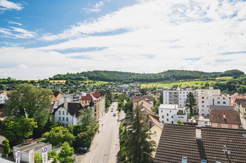 3.5 room apartment in Neuhausen am Rheinfall (9)