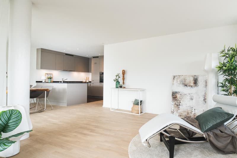 3.5 room apartment in Neuhausen am Rheinfall (4)