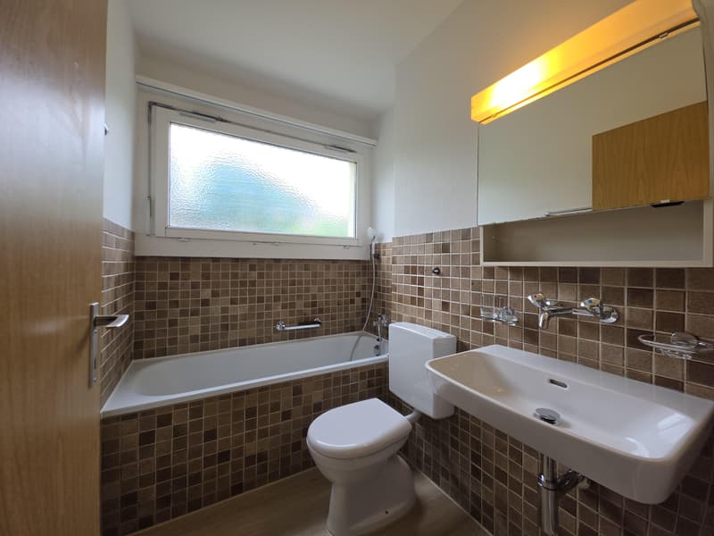 4.5 Zimmerwohnung in Schaffhausen (6)