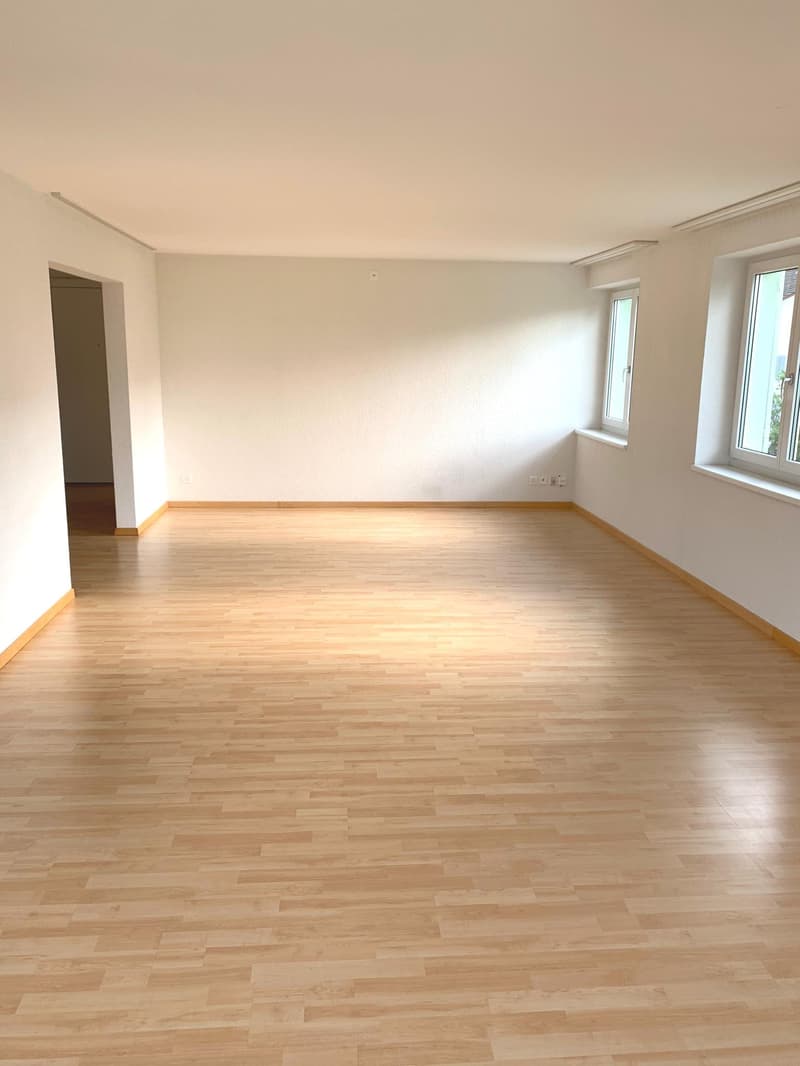 3.5 Zimmerwohnung in Schaffhausen (3)