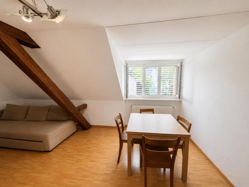 Appartement de ville avec charme ! (4)