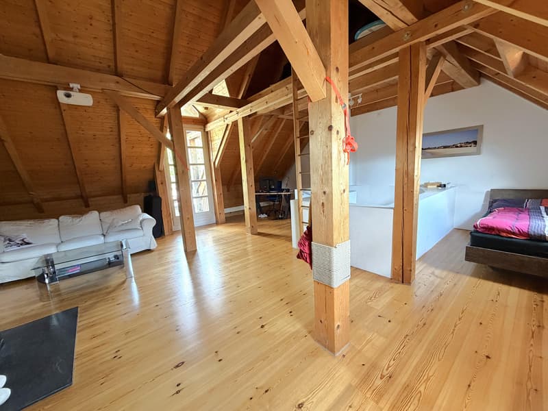 4.5 bedroom apartment in Schaffhausen (3)