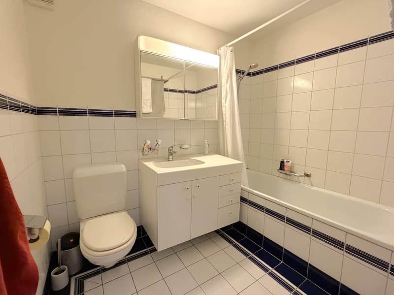 4.5 bedroom apartment in Schaffhausen (10)