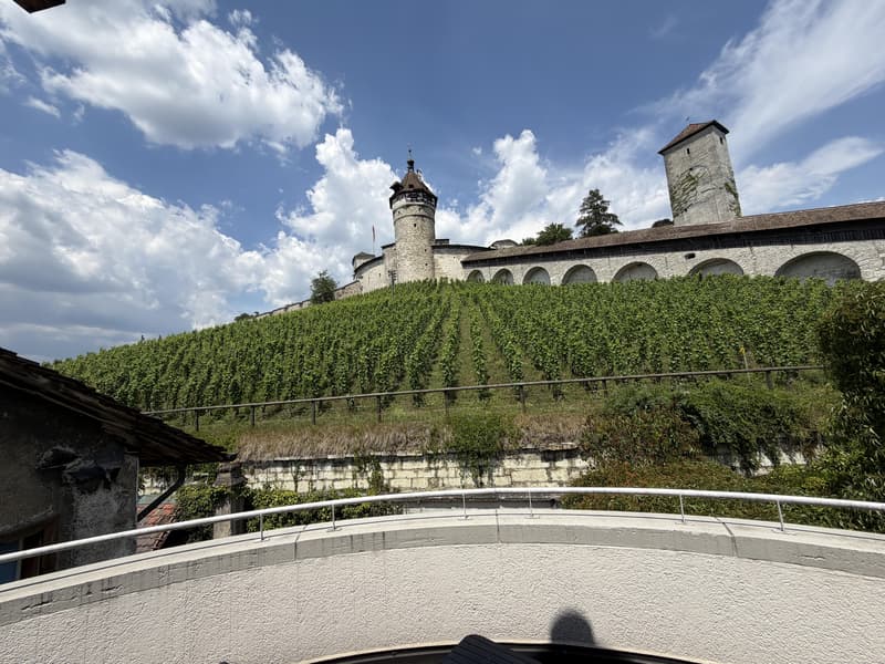 4.5 bedroom apartment in Schaffhausen (4)