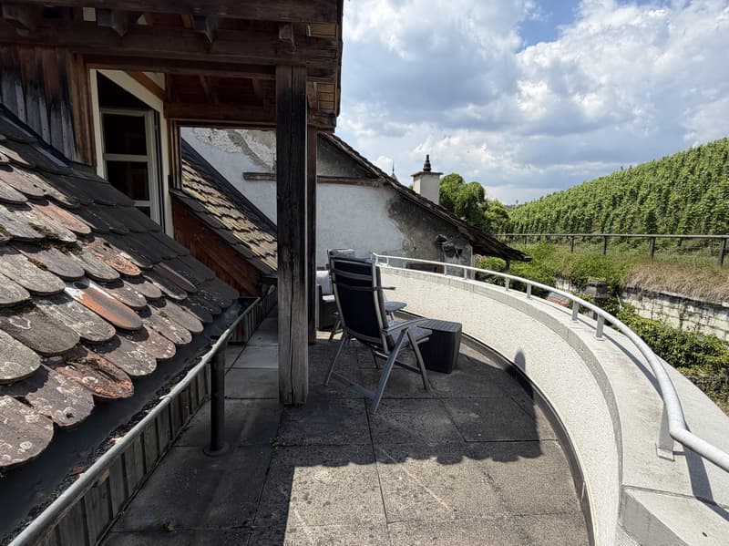 4.5 bedroom apartment in Schaffhausen (5)