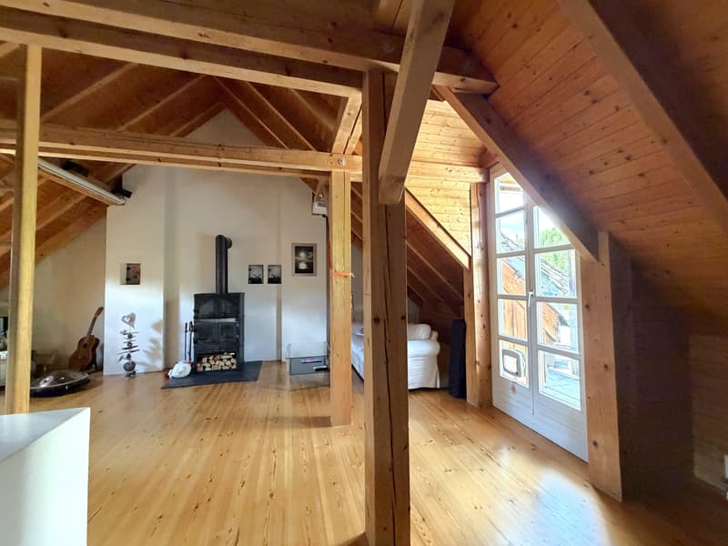 4.5 bedroom apartment in Schaffhausen (2)